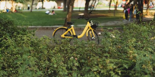 Diebstahl Göttingen